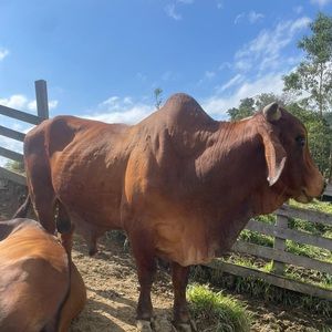 Meet your Posher, Matias